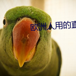 歐洲人用的直播app