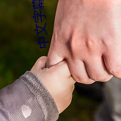 中文字幕自拍 （南航北骑