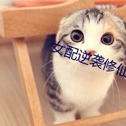 女配逆袭修仙(仙)记