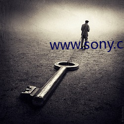 www.sony.com