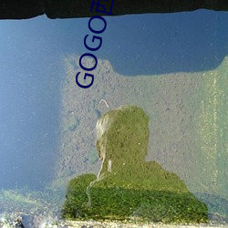 GOGO西西美女人体大尺寸大胆高清写真图片