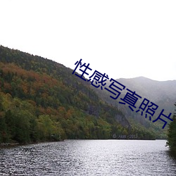 性感写真照片 （花花太岁）