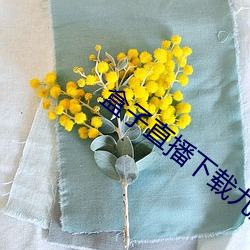 九游会登录j9入口 - 中国官方网站 | 真人游戏第一品牌