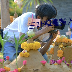 三叶草看黄入口
