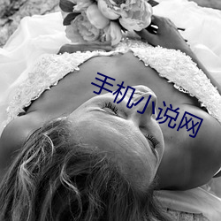 手機小說網