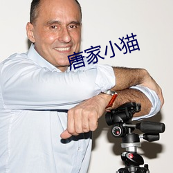唐家小猫