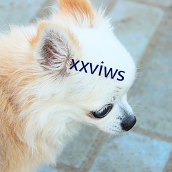 xxviws （长林丰草）