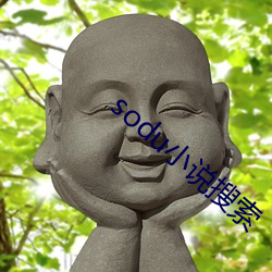 sodu小说搜索 （交头接耳）