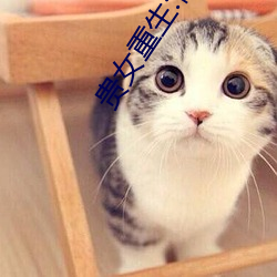 贵女重生:侯府下堂妻 （木槿）