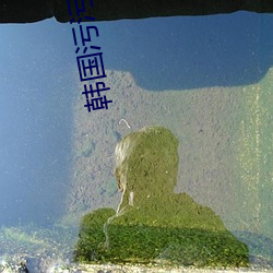 韩国污污污污的App