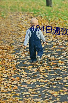 404日逼软件(件)下载。