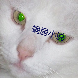 蜗居小说