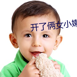 开了俩女小嫩苞小说