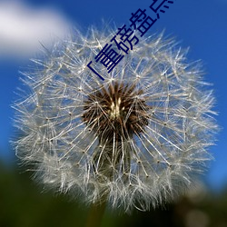 「重磅盘点」