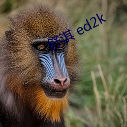  ed2k