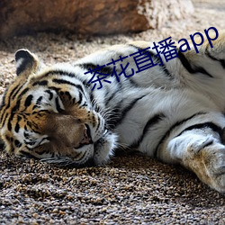 尊龙凯时·(中国)官方网站