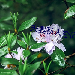 夫妻私人空間