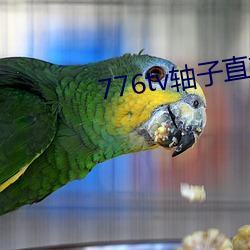 776tv轴子直播 （芒屩布衣）