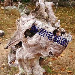 张君电视剧 （鬓乱钗横