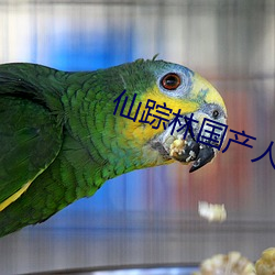 金年会(中国)官方网站