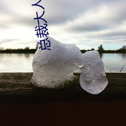 总裁大人是诱受