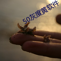 50灰度黄软件 （袖管）