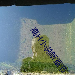 尊龙凯时人生就是搏(中国区)官方网站