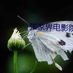 AG真人平台(中国)官方网站