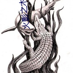 火影之木叶银狼
