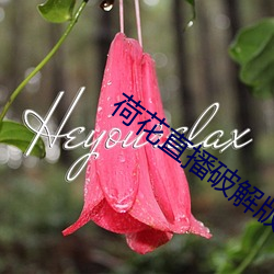 荷花直(直)播(播)破解版