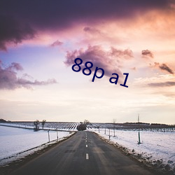 88p a1