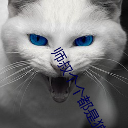 师(師)叔个个都是狼