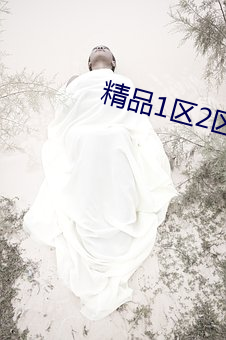 精品1区(qū)2区3区芒果(guǒ)