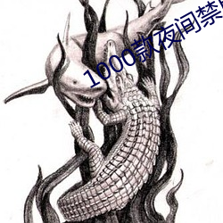 1000款夜間禁用軟件app