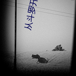 从斗罗开始打卡 （众寡不敌）