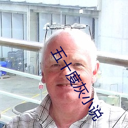 五(wǔ)十(shí)度灰小说(shuō)