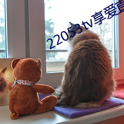 22053tv享爱直播ios （科头徒跣）