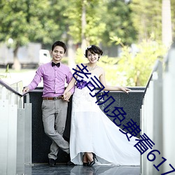 老司机免(miǎn)费看6171