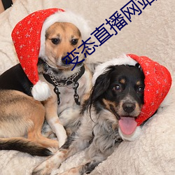 變態直播網站
