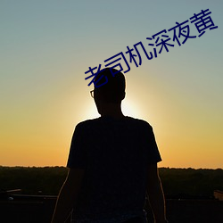 老司机(機)深夜黄