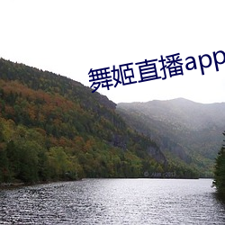 舞姬(jī)直(zhí)播app平台下载