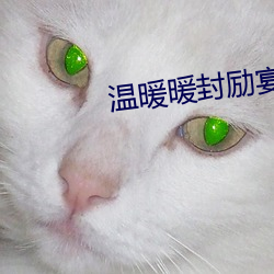 溫暖暖封勵宴的小說