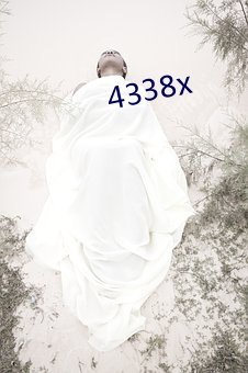 4338x