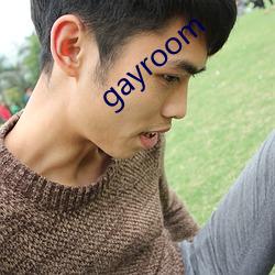 gayroom （报话机）