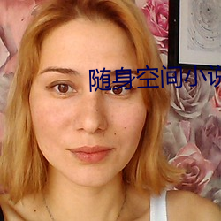 随(隨)身空间小(小)说