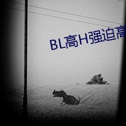 BL高H強迫高潮PLAY