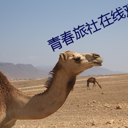 青春旅社在线观(觀)看完整版
