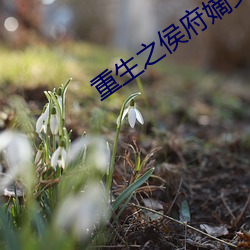 欧博abg - 官方网址登录入口
