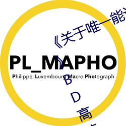 《关于唯一能让笨蛋变聪明动漫风车》BD高清免费电影大全 （登时）