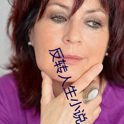 反转人生小说 （南方）
